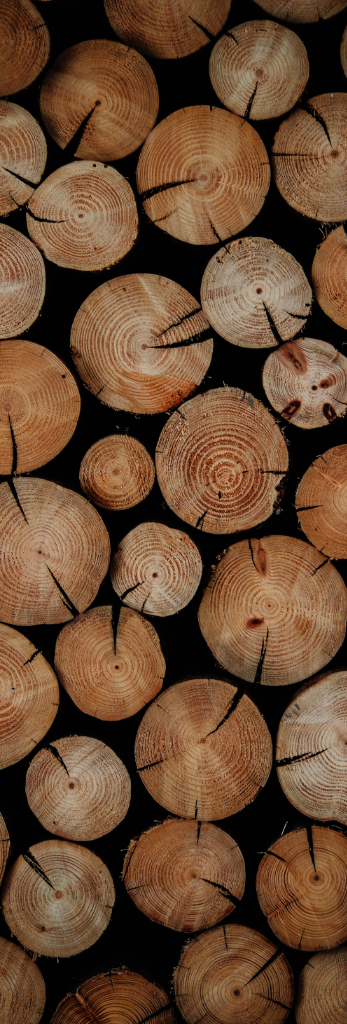 wood3